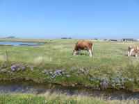 P1120979 &ndash; &copy; Margret van Blokland (Eberhardt TRAVEL)