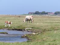 P1120981 &ndash; &copy; Margret van Blokland (Eberhardt TRAVEL)
