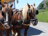 P1130024 &ndash; &copy; Margret van Blokland (Eberhardt TRAVEL)