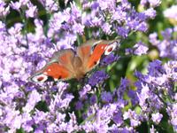 P1130034 &ndash; &copy; Margret van Blokland (Eberhardt TRAVEL)