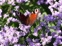 P1130040 &ndash; &copy; Margret van Blokland (Eberhardt TRAVEL)