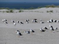 P1130144 &ndash; &copy; Margret van Blokland (Eberhardt TRAVEL)