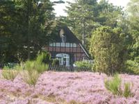 Lüneburger Heide &ndash; &copy; Kerstin Hugel (Eberhardt TRAVEL)