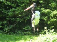 Vogelpark Walsrode &ndash; &copy; Kerstin Hugel (Eberhardt TRAVEL)