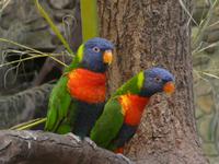 Vogelpark Walsrode &ndash; &copy; Kerstin Hugel (Eberhardt TRAVEL)