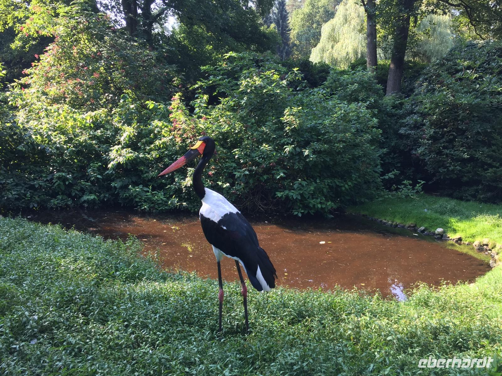 Vogelpark Walsrode &ndash; &copy; Sabine C. Seifert (Eberhardt TRAVEL)