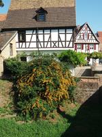 Altstadt Speyer &ndash; &copy; Ulrike Blenke (Eberhardt TRAVEL)