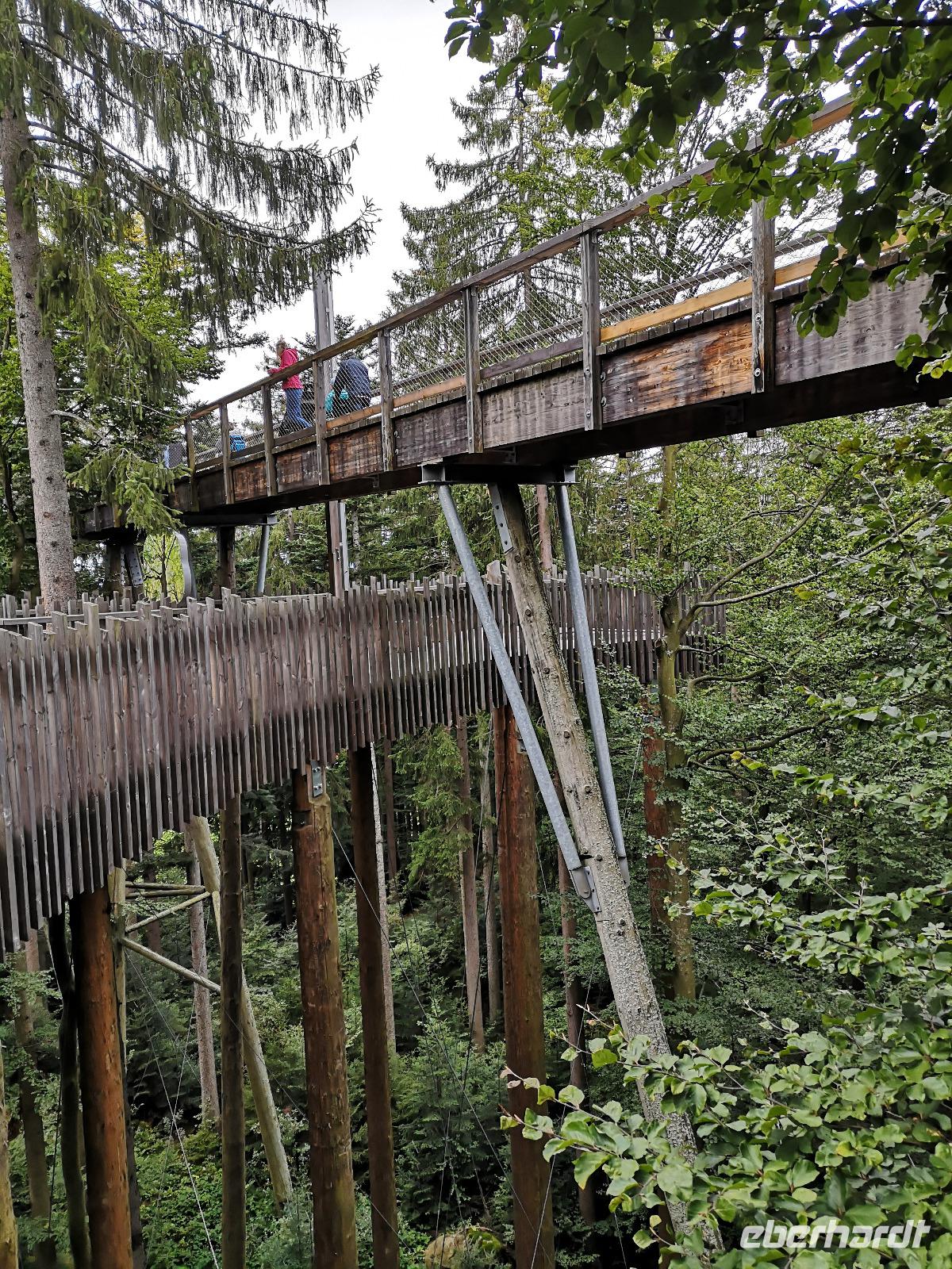 3 Baumwipfelpfad (5) &ndash; &copy; Jürgen Müller (Eberhardt TRAVEL)