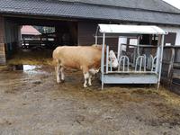 1b Aiderbichl (11)