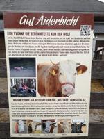 1b Aiderbichl (12) &ndash; &copy; Jürgen Müller (Eberhardt TRAVEL)