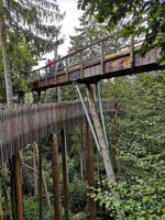 3 Baumwipfelpfad (5) &ndash; &copy; Jürgen Müller (Eberhardt TRAVEL)