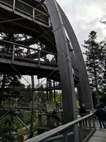 3 Baumwipfelpfad (10) &ndash; &copy; Jürgen Müller (Eberhardt TRAVEL)