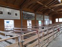 1b Aiderbichl (19) &ndash; &copy; Jürgen Müller (Eberhardt TRAVEL)