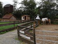 1b Aiderbichl (23) &ndash; &copy; Jürgen Müller (Eberhardt TRAVEL)