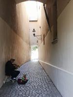 2b Passau Stadtführung (7) &ndash; &copy; Jürgen Müller (Eberhardt TRAVEL)