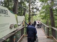 3 Baumwipfelpfad (2) &ndash; &copy; Jürgen Müller (Eberhardt TRAVEL)