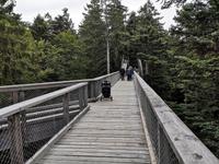 3 Baumwipfelpfad (6) &ndash; &copy; Jürgen Müller (Eberhardt TRAVEL)