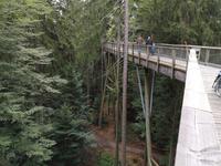 3 Baumwipfelpfad (8) &ndash; &copy; Jürgen Müller (Eberhardt TRAVEL)