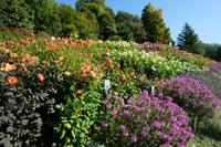 Insel Mainau &ndash; &copy; Andreas Kunzmann (Eberhardt TRAVEL)