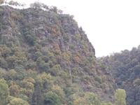 DSCN4884 Loreley Felsen &ndash; &copy; Kerstin Veit (Eberhardt TRAVEL)