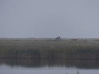 P1150012 &ndash; &copy; Margret van Blokland (Eberhardt TRAVEL)