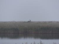P1150013 &ndash; &copy; Margret van Blokland (Eberhardt TRAVEL)