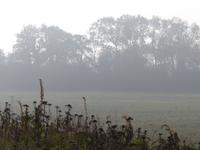 P1150048 &ndash; &copy; Margret van Blokland (Eberhardt TRAVEL)
