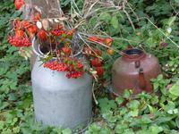 P1150102 &ndash; &copy; Margret van Blokland (Eberhardt TRAVEL)
