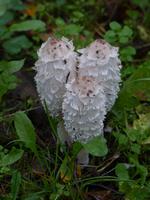 P1150253 &ndash; &copy; Margret van Blokland (Eberhardt TRAVEL)