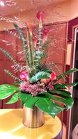 2 Arosa Deko (2)b &ndash; &copy; Till Abraham (Eberhardt TRAVEL)