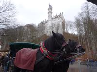 2. Neuschwanstein .-Kutsche &ndash; &copy; Gisela Hohlfeld (Eberhardt TRAVEL)