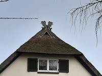 20191225_113335 &ndash; &copy; Birgit Hornung (Eberhardt TRAVEL)