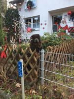 Der Wandlitzer Braunbär &ndash; &copy; Carina Niebergall (Eberhardt TRAVEL)