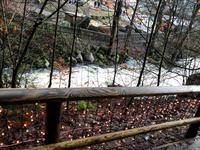 Triberger Wasserfall &ndash; &copy; Dr. Michael Krause (Eberhardt TRAVEL)