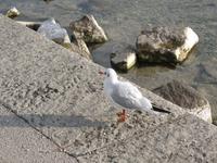Starnberger See &ndash; &copy; Ina Lakermann (Eberhardt TRAVEL)