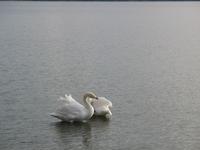 Starnberger See &ndash; &copy; Ina Lakermann (Eberhardt TRAVEL)