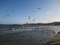 Binz &ndash; &copy; Heike Meinhold (Eberhardt TRAVEL)