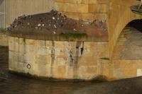 Metz  &ndash; &copy; Gabriele Sauer (Eberhardt TRAVEL)