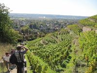 Blick auf Radebeul ... &ndash; &copy; Anne Schröder (Eberhardt TRAVEL)