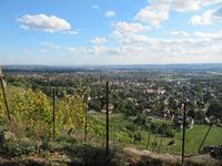 Blick auf Radebeul &ndash; &copy; Anne Schröder (Eberhardt TRAVEL)