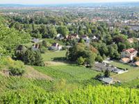 Blick ins Tal von Radebeul &ndash; &copy; Anne Schröder (Eberhardt TRAVEL)