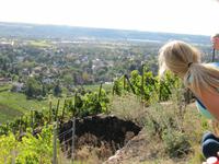 Blick ins Tal von Radebeul!