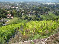 Blick ins Tal von Radebeul!