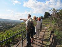 Blick ins Tal von Radebeul! &ndash; &copy; Anne Schröder (Eberhardt TRAVEL)