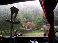 Serengeti Park Hodenhagen II