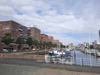 Flusskreuzfahrt mit A-ROSA FLORA • Stadtrundfahrt in Rotterdam &ndash; &copy; Franziska Bergmann (Eberhardt TRAVEL)