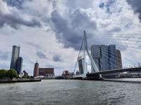 Flusskreuzfahrt mit A-ROSA FLORA • Rotterdam, Erasmusbrücke &ndash; &copy; Franziska Bergmann (Eberhardt TRAVEL)
