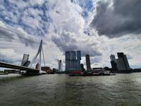 Flusskreuzfahrt mit A-ROSA FLORA • Rotterdam, Erasmusbrücke &ndash; &copy; Franziska Bergmann (Eberhardt TRAVEL)