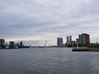 Flusskreuzfahrt mit A-ROSA FLORA • kleine Hafenrundfahrt in Rotterdam