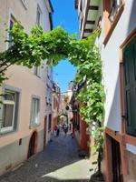 Flusskreuzfahrt mit A-ROSA FLORA • Altstadt in Bernkastel-Kues &ndash; &copy; Franziska Bergmann (Eberhardt TRAVEL)